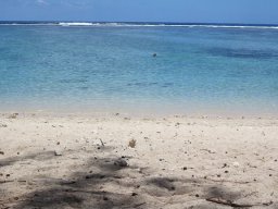 Lagon de Saint Gilles